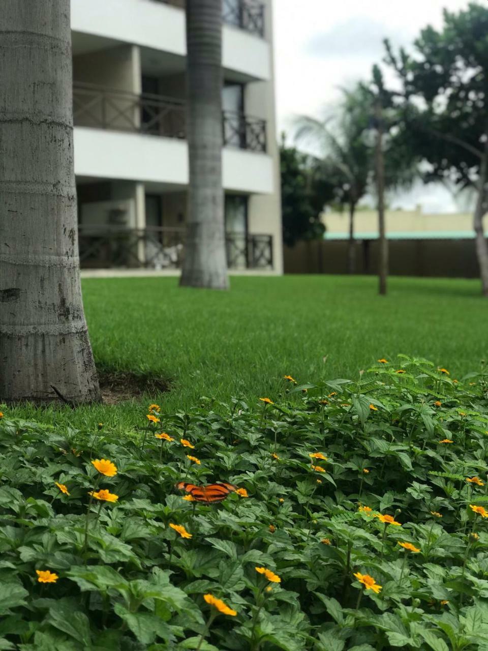 أكويراز Beach Place Resort Residence المظهر الخارجي الصورة